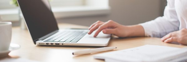 women on laptop beside sun-lit windown